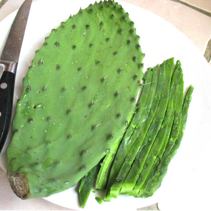 Nopal con espinas / Cactus comestible avec des épines 200g