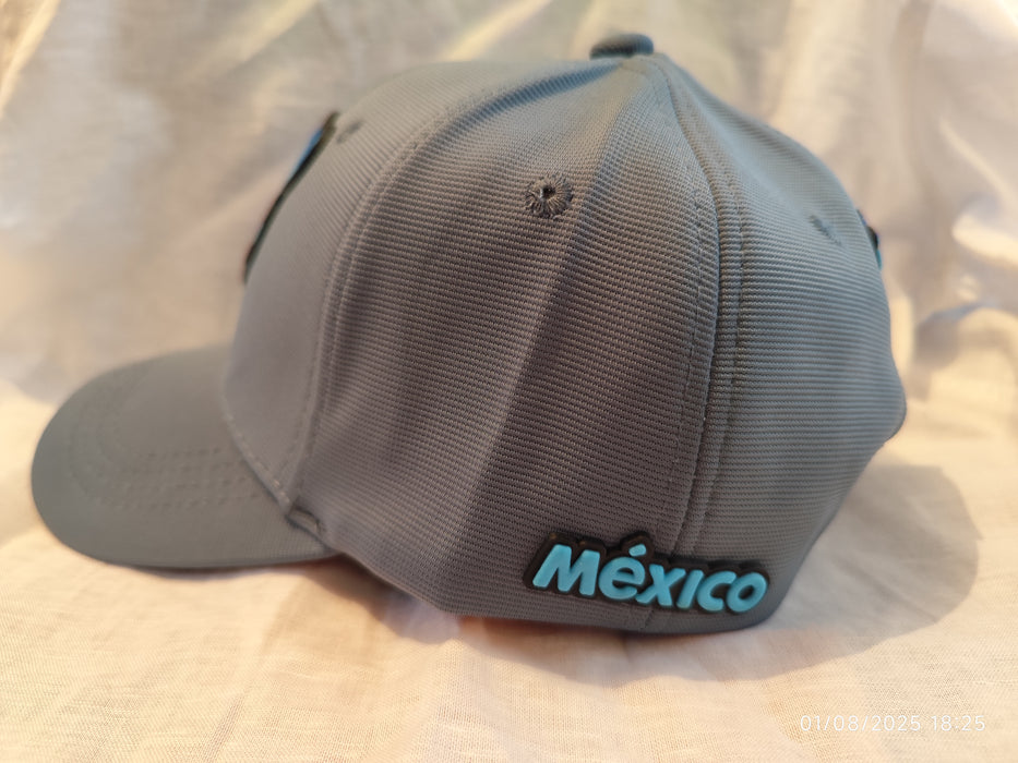 Casquette/gorra pantera azul