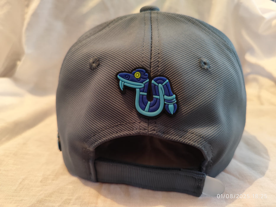 Casquette/gorra pantera azul